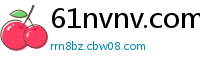 61nvnv.com